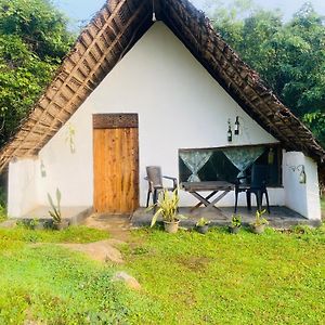 Double Room Mountain View