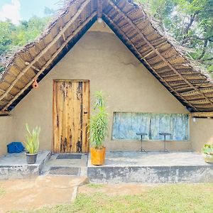 Triple Room Mountain View